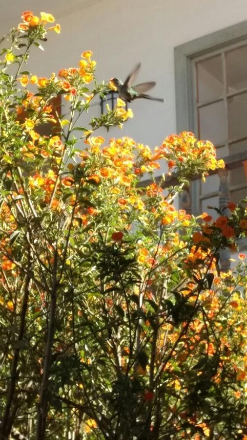 Hotel Manco Capac Jauja 外观 照片